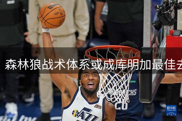 森林狼战术体系或成库明加最佳去处